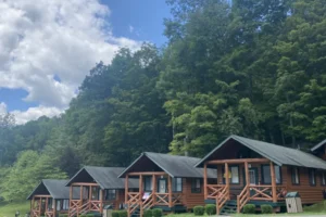 Camp Connect USA - Rustic wooden cabin surrounded by lush greenery under a partly cloudy sky.